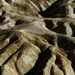Zabriskie Point | Death Valley - Kalifornie
