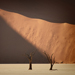 Dead vlei | Namibie