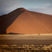 Sossusvlei | Namibie